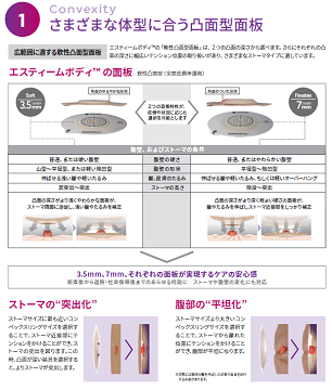 エスティーム ボディ消化管用 7mm 窓付プレカット:25mm